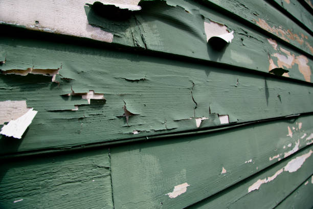 Best Hoarding Cleanup  in Burnt Mills, MD